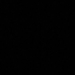 Meet your Posher, Audrey